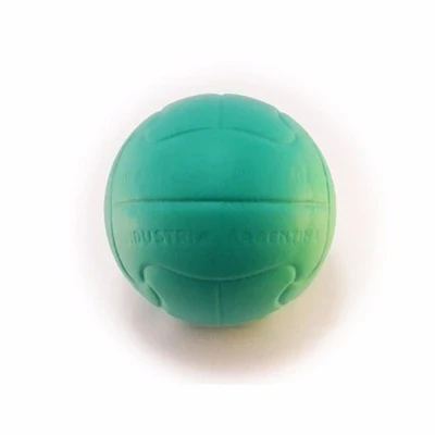 Pelota Didáctica de Espuma con Rebote 15 cm
